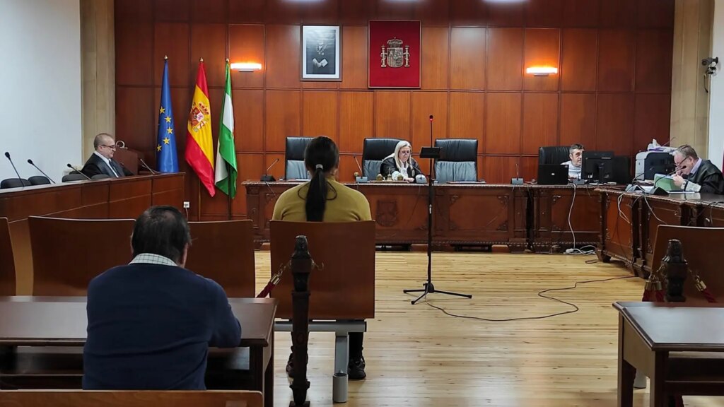 Pena de internamiento para la mujer que mató a su hijo de seis años bajo un «brote psicótico agudo»