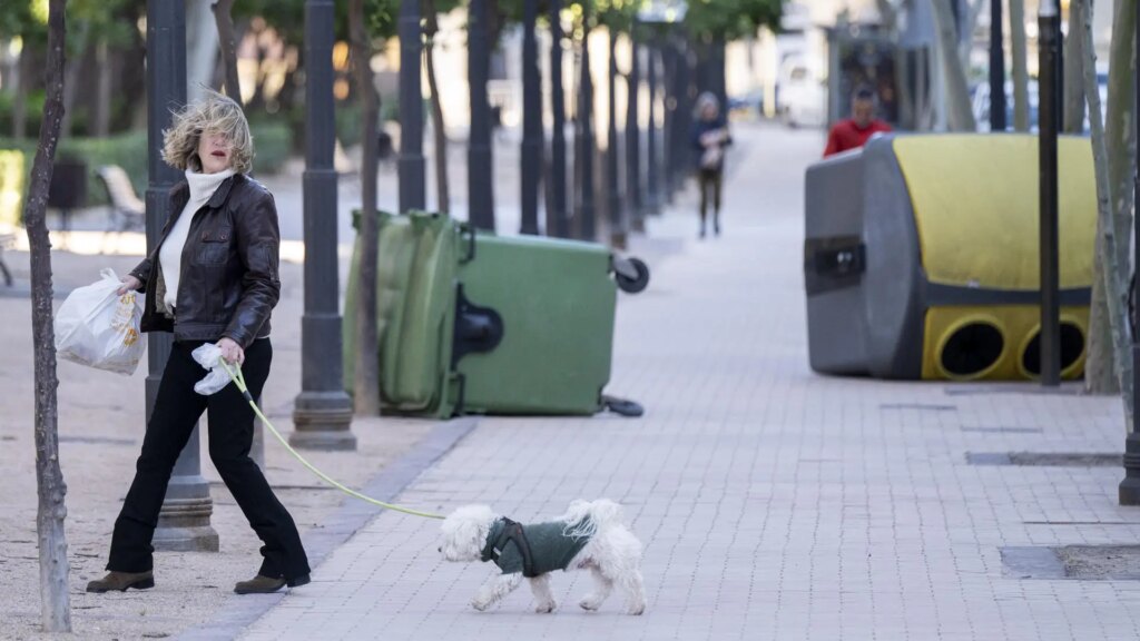 Renfe suspende los trenes en el Corredor Mediterráneo y entre Valencia y Castellón por el fuerte viento
