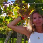 El arte de hacer grandes vinos con las variedades blancas gallegas