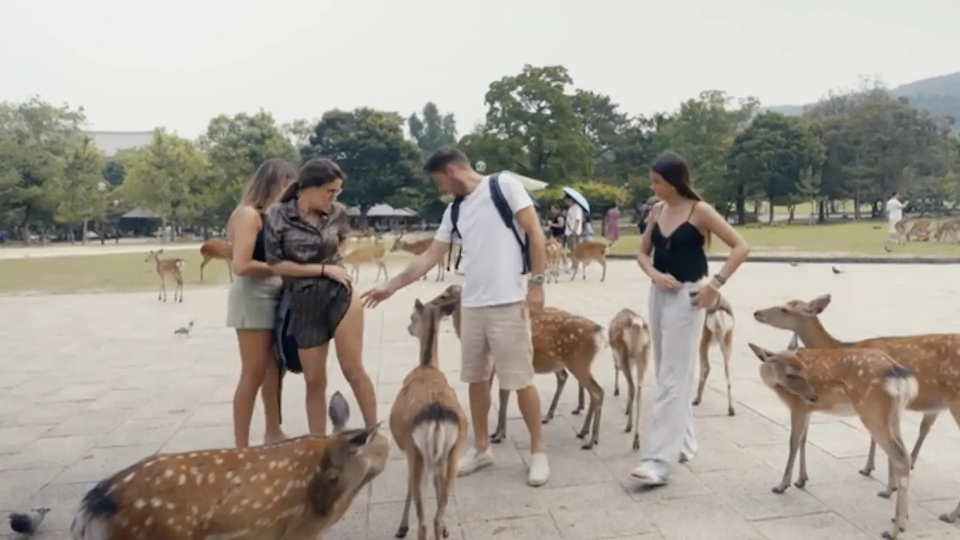 «¡El bocado que me ha dado!» «¡El bocado que me ha dado!»