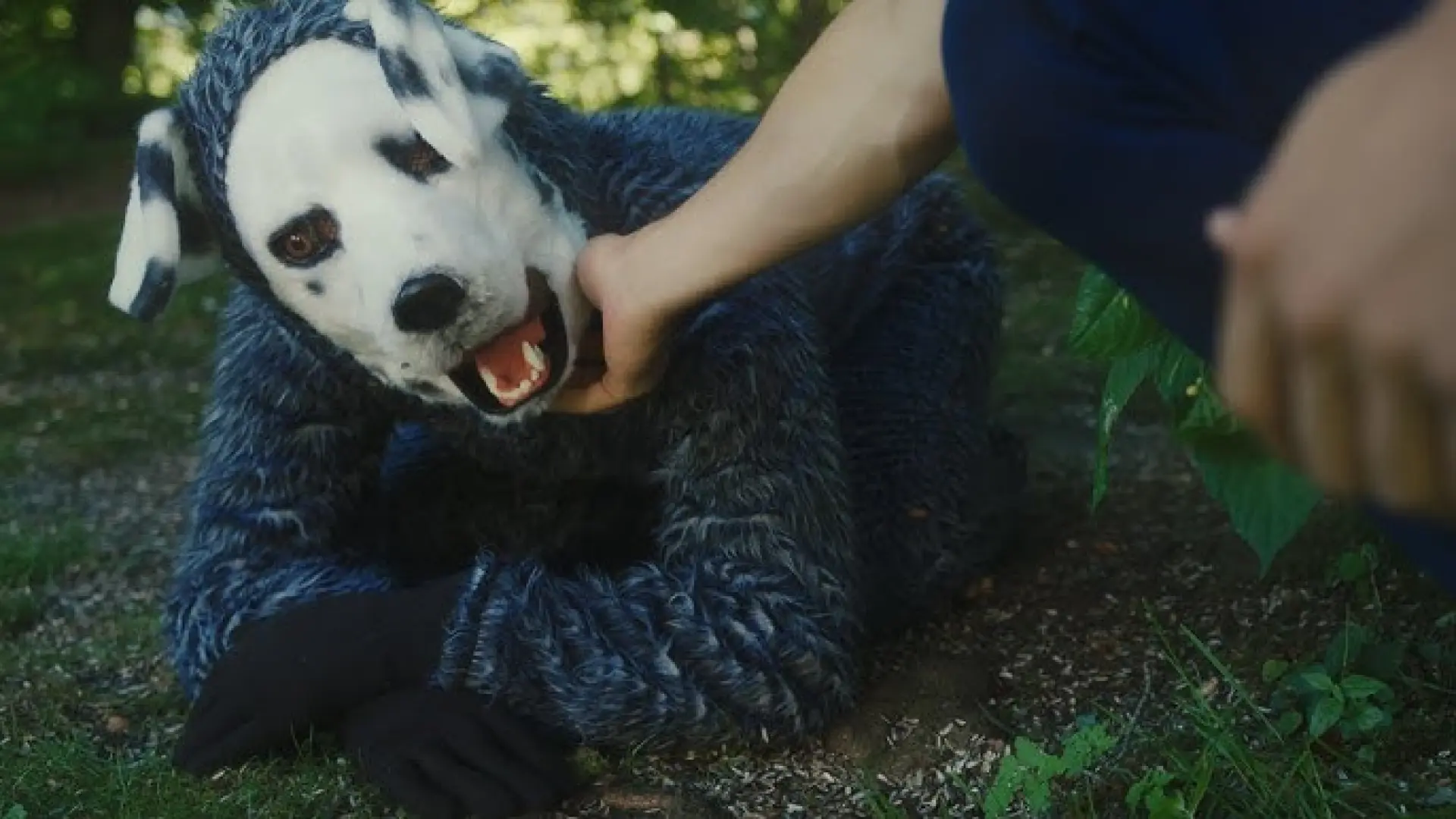 ¿Hay películas para ‘therians’? Estas son las más buscadas con humanos que desarrollan una identidad animal ¿Hay películas para ‘therians’? Estas son las más buscadas con humanos que desarrollan una identidad animal