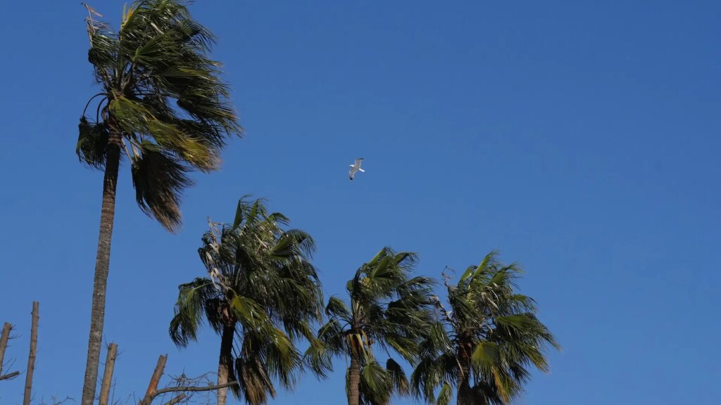 Activada la alerta Ventcat por fuertes rachas de viento este domingo en el norte de Catalunya Activada la alerta Ventcat por fuertes rachas de viento este domingo en el norte de Catalunya