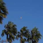 Activada la alerta Ventcat por fuertes rachas de viento este domingo en el norte de Catalunya
