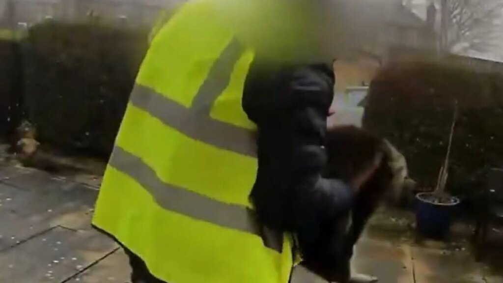 Detenido un repartidor de Amazon que fue pillado robando la gata de una familia cuando realizaba una entrega