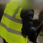 Detenido un repartidor de Amazon que fue pillado robando la gata de una familia cuando realizaba una entrega