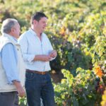 Asomo 2024, de Bodegas García Figuero, un «gancho» para los aficionados al vino