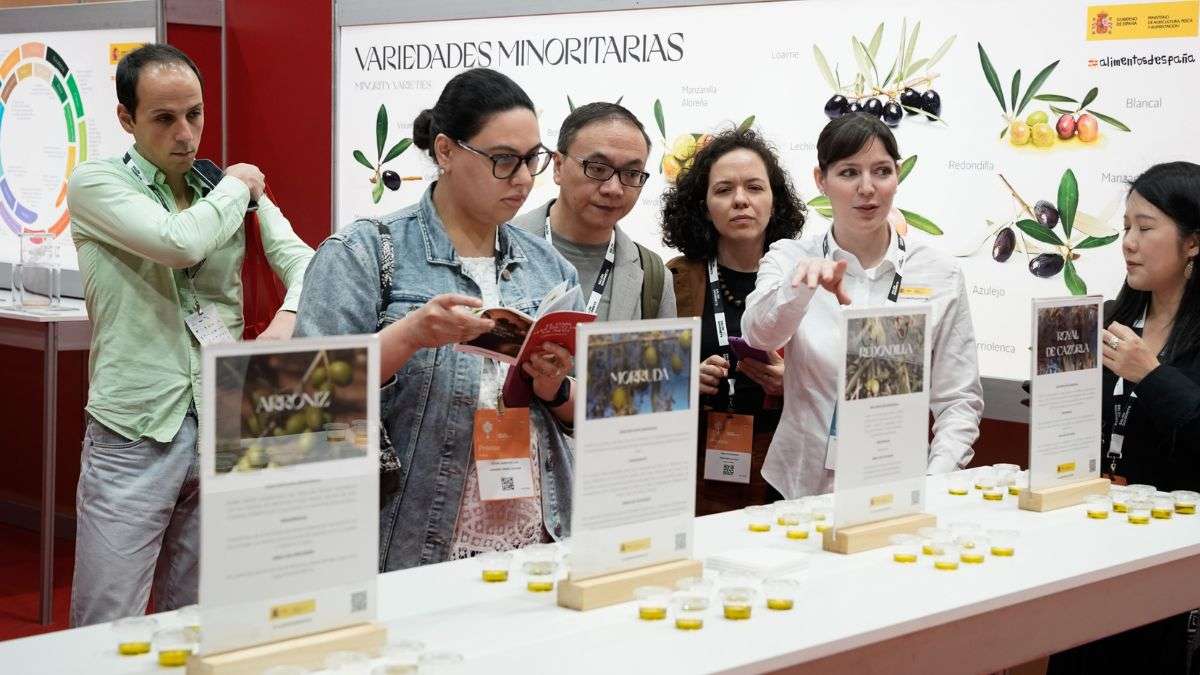 Salón Gourmets 2026: descubre las zonas clave del mayor escaparate gastronómico del mundo Salón Gourmets 2026: descubre las zonas clave del mayor escaparate gastronómico del mundo