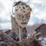 «Cinco temporadas siempre fueron nuestro objetivo»