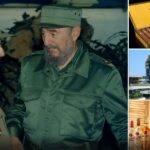 Al menos 10 multinacionales se le acomodaron al régimen y siguen haciendo fortuna en Cuba pese al bloqueo y la crisis Al menos 10 multinacionales se le acomodaron al régimen y siguen haciendo fortuna en Cuba pese al bloqueo y la crisis