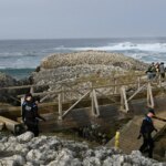 El ingeniero que firmó el proyecto de la pasarela de El Bocal en Santander será investigado