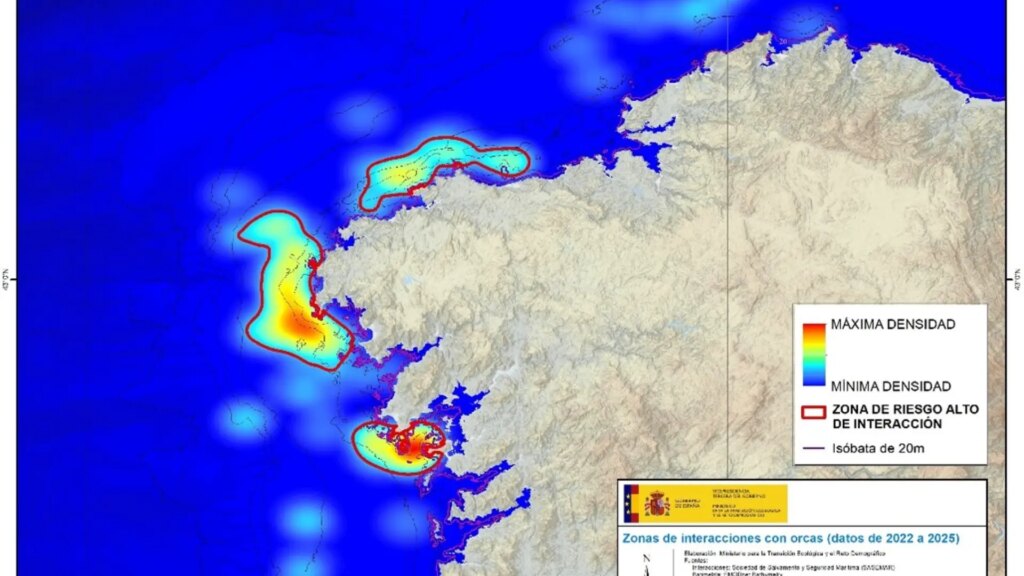 Las orcas aumentan sus interacciones con los barcos en el norte de España y pierden actividad en el sur