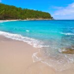 «Tienen unas de las mejores playas del mundo»