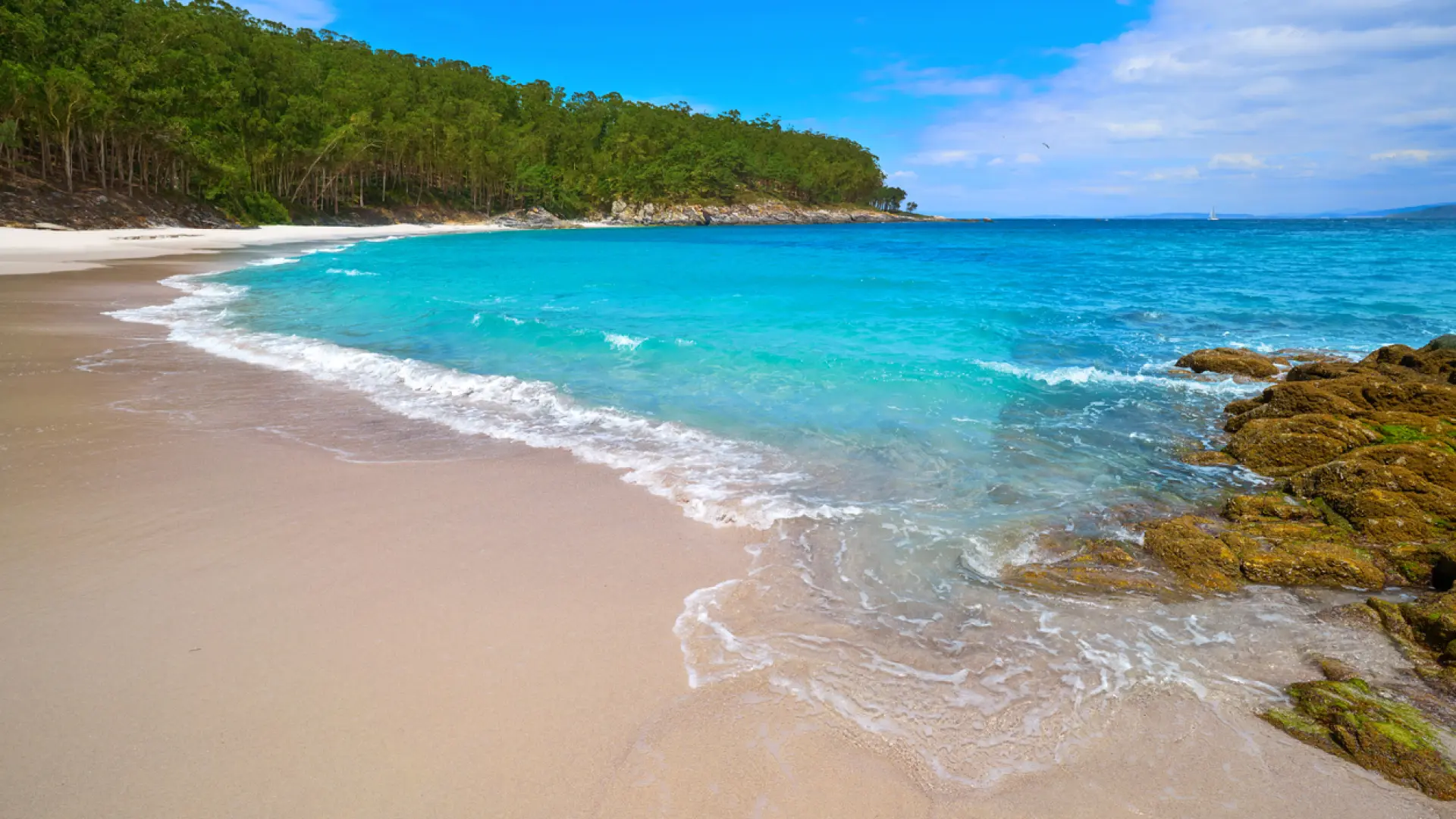 «Tienen unas de las mejores playas del mundo»