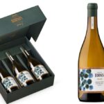 Así es el nuevo Gran Vino de Rueda de Palacio de Bornos: un Verdejo exclusivo inspirado en el arte