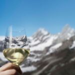 Los siete mejores chardonnays del Somontano