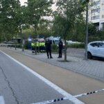 el conductor se ha dado a la fuga