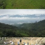 Alcaldía de Girardota impulsa fortalecimiento del sistema productivo de cacao en 10 veredas del municipio.