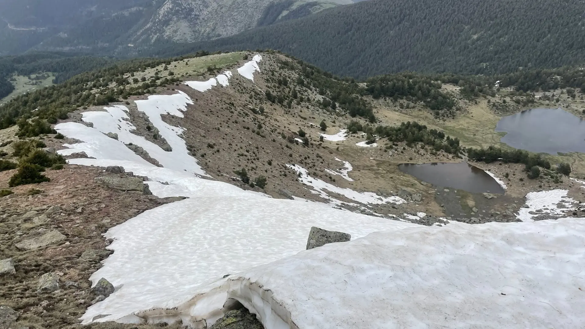 la carrera ha sido suspendida