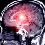 El hobby que te ayuda a retrasar el envejecimiento cerebral y para el que solo necesitas unos prismáticos