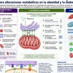 protege contra la obesidad y la diabetes tipo 2