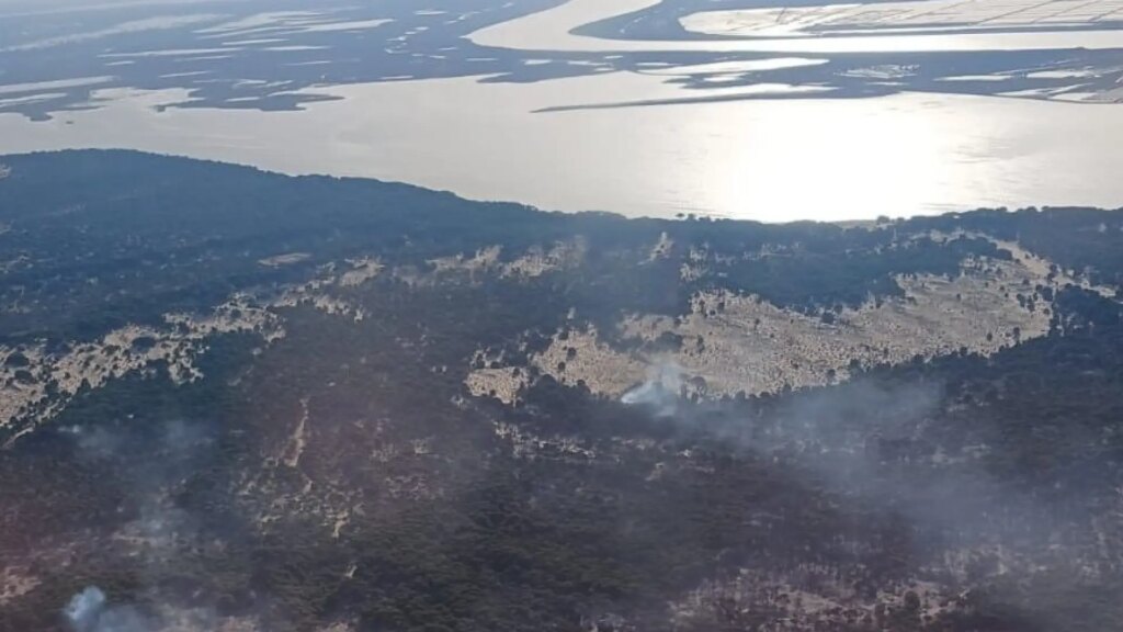 Diez aeronaves se suman a las labores de extinción del incendio en Doñana, probablemente «intencionado» Diez aeronaves se suman a las labores de extinción del incendio en Doñana, probablemente «intencionado»
