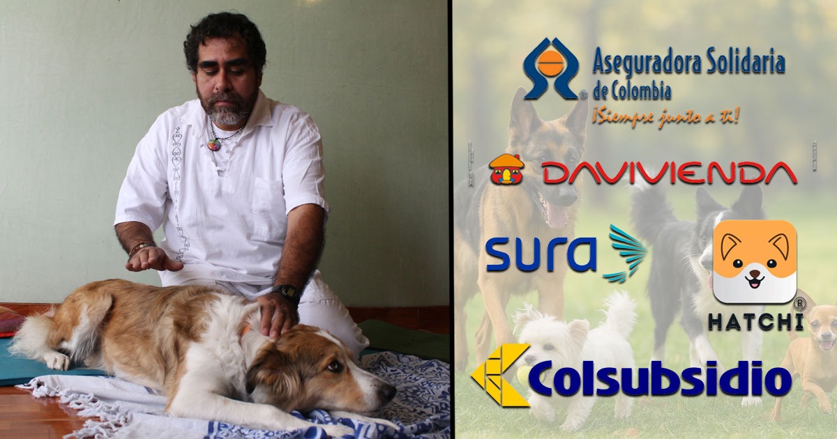 El negociazo de las pólizas para mascotas en Colombia que ofrecen veterinaria, hotel y hasta gastos funerarios