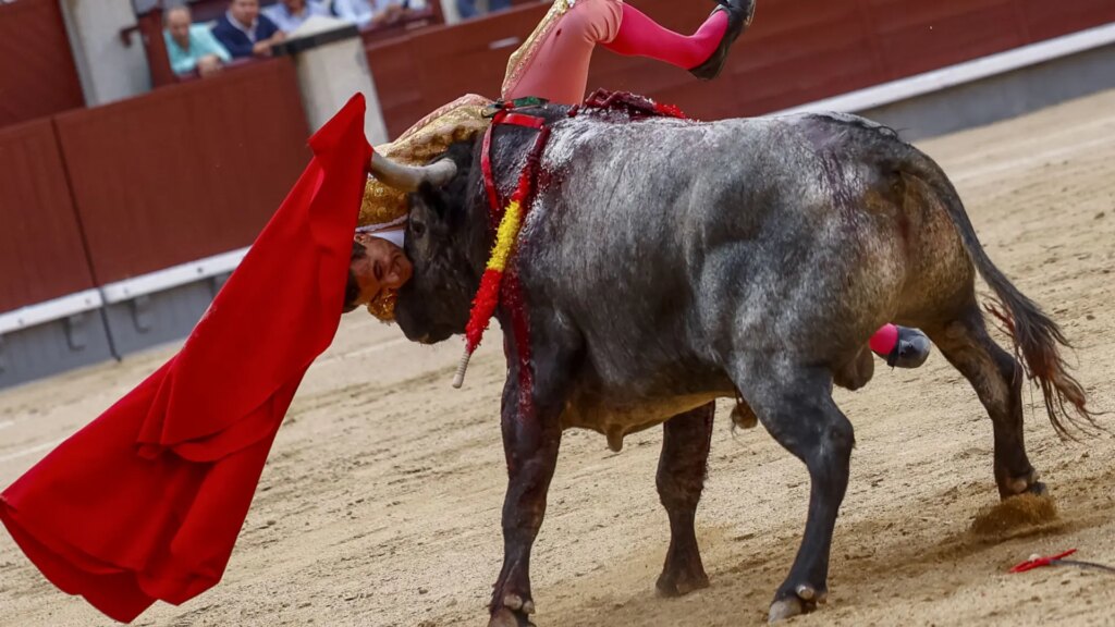 El torero Paco Ureña, herido con pronóstico «grave» tras una cornada en las Ventas El torero Paco Ureña, herido con pronóstico «grave» tras una cornada en las Ventas
