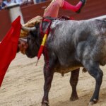 El torero Paco Ureña, herido con pronóstico «grave» tras una cornada en las Ventas El torero Paco Ureña, herido con pronóstico «grave» tras una cornada en las Ventas
