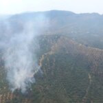 Estabilizado el incendio en Córdoba que se declaró este sábado tras el impacto de un rayo Estabilizado el incendio en Córdoba que se declaró este sábado tras el impacto de un rayo