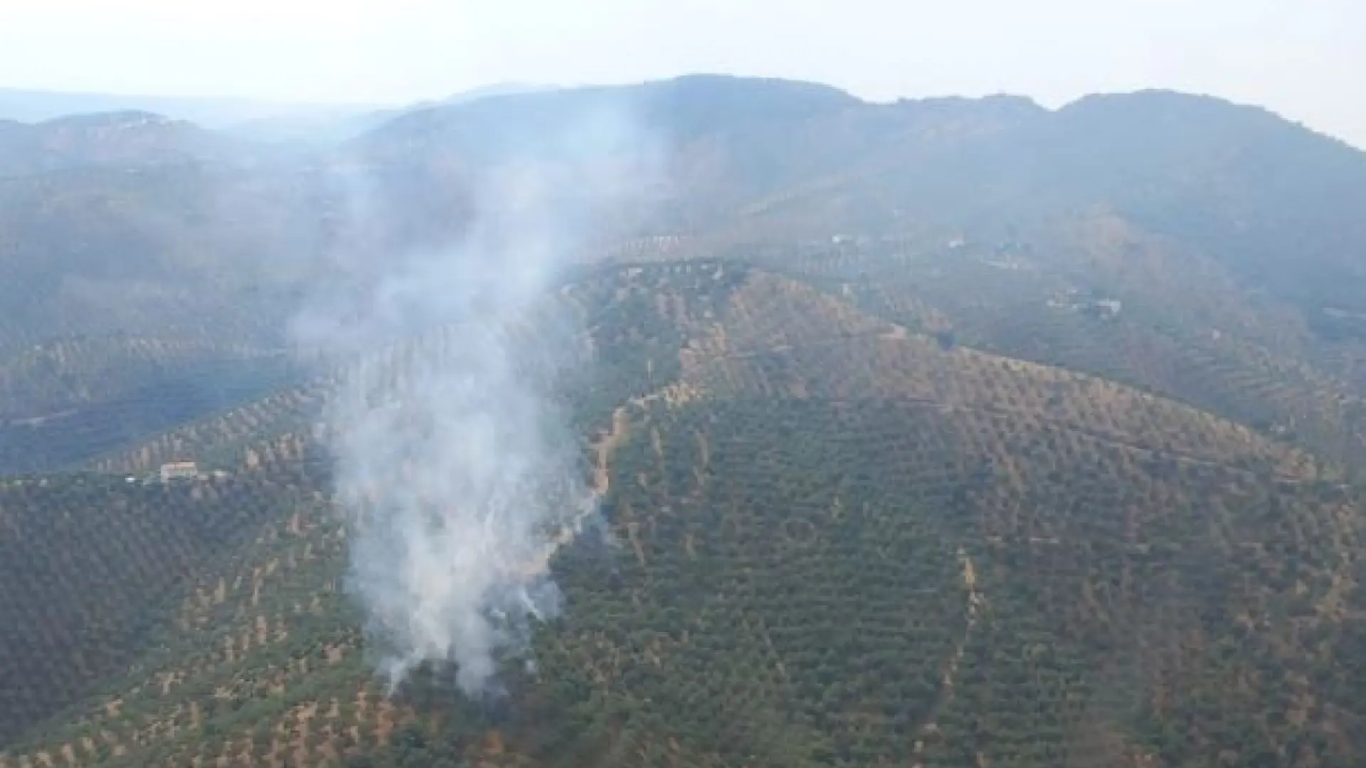Estabilizado el incendio en Córdoba que se declaró este sábado tras el impacto de un rayo Estabilizado el incendio en Córdoba que se declaró este sábado tras el impacto de un rayo