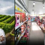 Pinta Negra, un vino joven producido por la familia portuguesa Alves logra vender más de 1.5 millones de botellas en D1