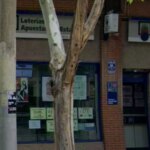 Un acertante de la Primitiva gana un millón de euros y el bote sube a 19,7 millones
