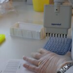 desapareció hace más de 200 años