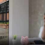 el cartel de la insolvencia el cartel de la insolvencia