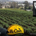 La poderosa multinacional canadiense que vende en Colombia medio billón de pesos en papa congelada