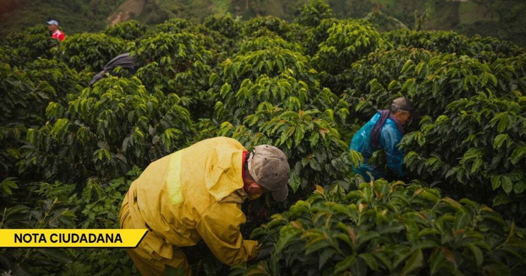 La realidad detrás del Día del Campesino en un país que historicamente le dado la espalda al campo La realidad detrás del Día del Campesino en un país que historicamente le dado la espalda al campo