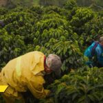 La realidad detrás del Día del Campesino en un país que historicamente le dado la espalda al campo