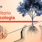 Celos tras una ruptura, adolescencia violenta y duelo acompañado de soledad, inquietudes en el consultorio de Psicología de 20minutos Celos tras una ruptura, adolescencia violenta y duelo acompañado de soledad, inquietudes en el consultorio de Psicología de 20minutos