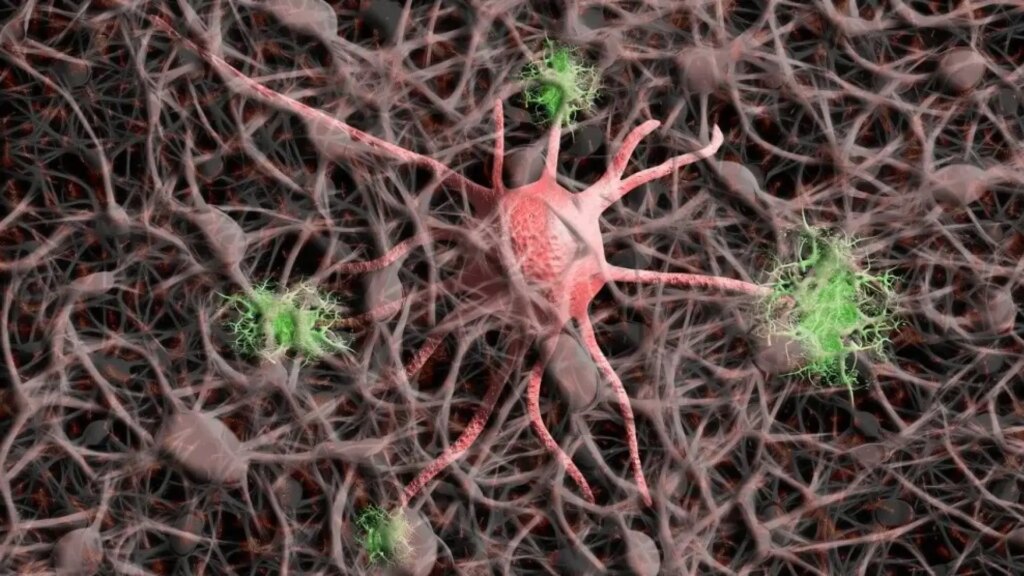 Un compuesto natural obtiene resultados prometedores contra la ataxia de Friedreich, una enfermedad neurodegenerativa rara