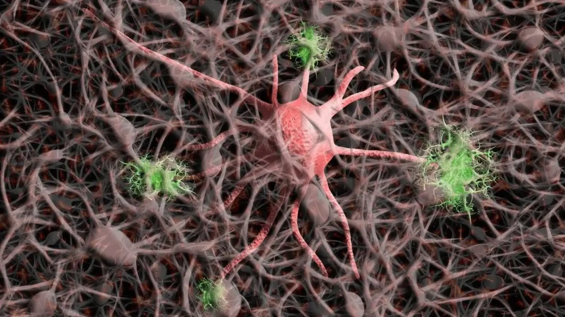 Un compuesto natural obtiene resultados prometedores contra la ataxia de Friedreich, una enfermedad neurodegenerativa rara