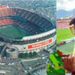 la mascota que marcó a Colombia la mascota que marcó a Colombia
