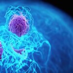 La EMA acelera el análisis de un fármaco experimental contra el cáncer de páncreas metastásico La EMA acelera el análisis de un fármaco experimental contra el cáncer de páncreas metastásico