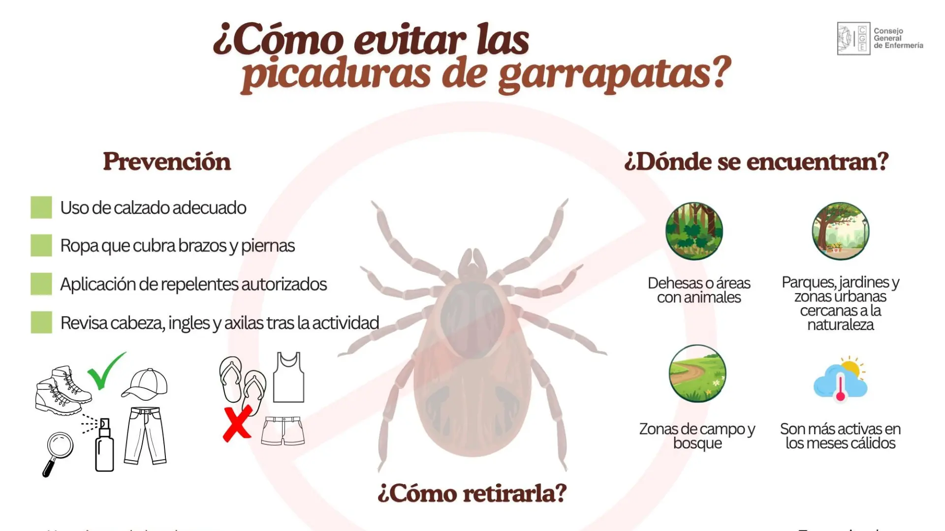 Las enfermeras alertan del repunte de picaduras de garrapatas en España Las enfermeras alertan del repunte de picaduras de garrapatas en España