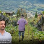 Así logró Sonsón multiplicar por diez su producción de fresas y convertirse en fenómeno agrícola paisa