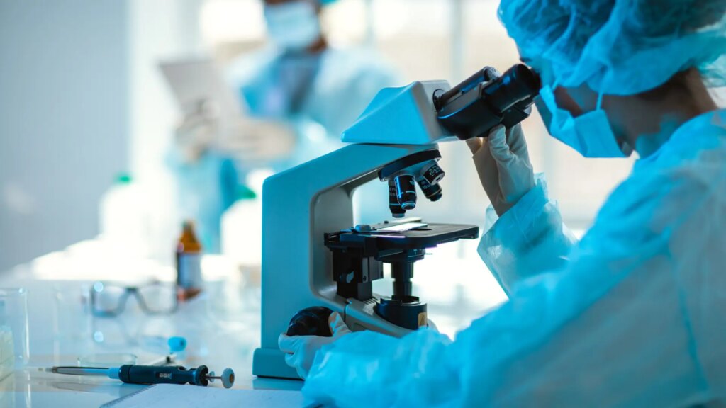 Descubren cómo destruir las bacterias resistentes a los antibióticos Descubren cómo destruir las bacterias resistentes a los antibióticos