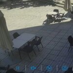 Detenido un hombre en Mora por agredir gravemente a su padre, de 70 años, en la terraza de un bar Detenido un hombre en Mora por agredir gravemente a su padre, de 70 años, en la terraza de un bar