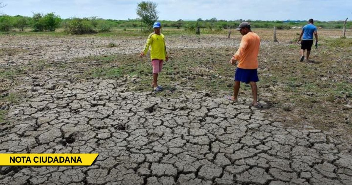 El drama de los campesinos del Caribe que exigen agua para no dejar al país sumido en una crisis alimentaria El drama de los campesinos del Caribe que exigen agua para no dejar al país sumido en una crisis alimentaria