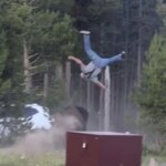 El momento en el que un bisonte arrolla a un anciano y lo lanza a tres metros de altura en el parque de Yellowstone
