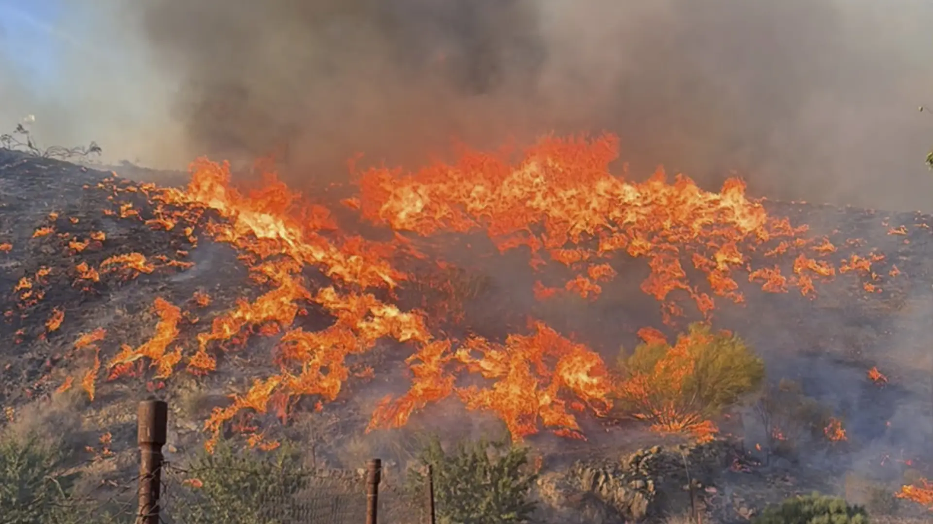 «En dos o tres horas el incendio era una lengua de fuego» «En dos o tres horas el incendio era una lengua de fuego»