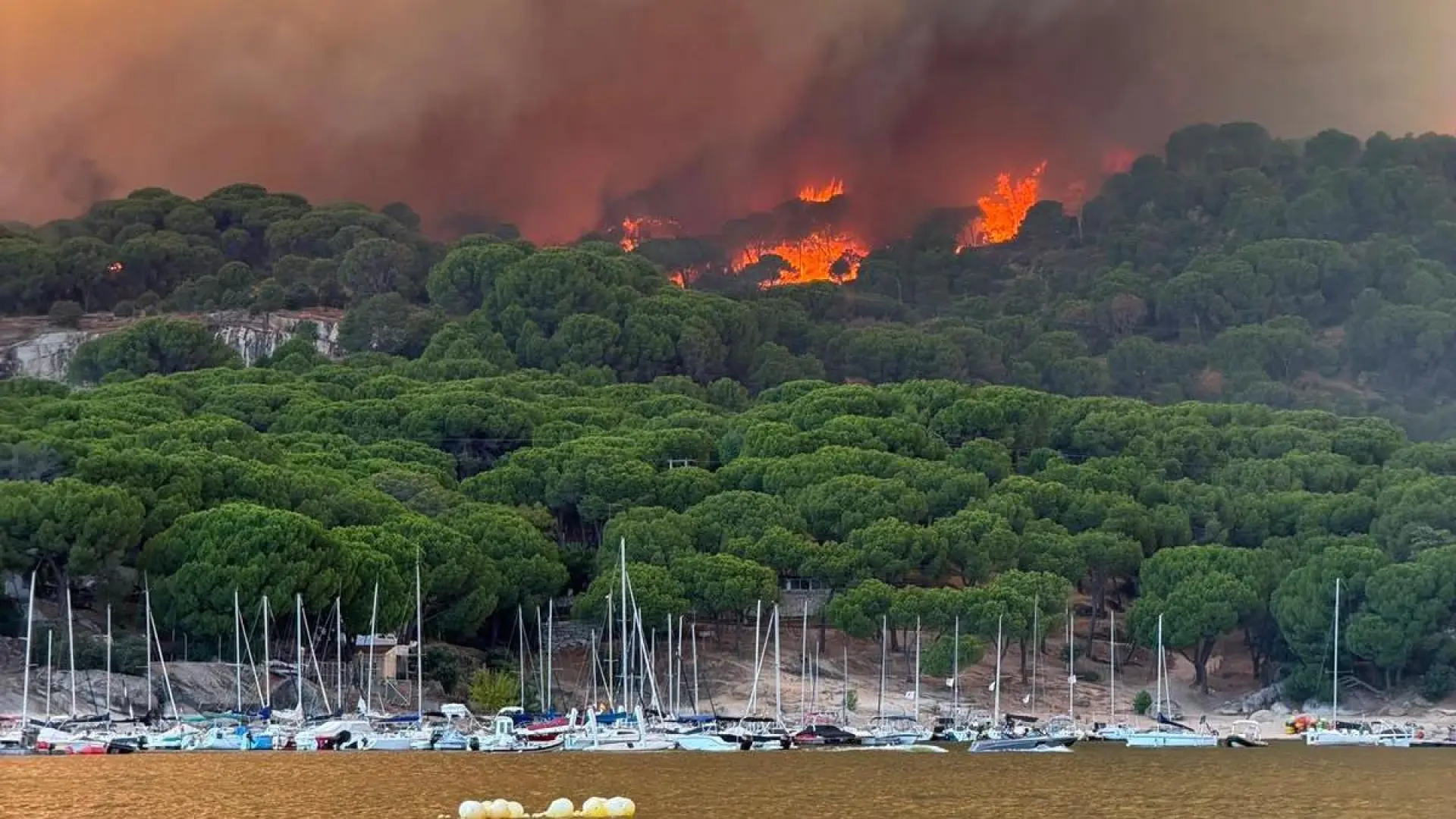 España aún no solicita, como sí han hecho Francia y Portugal, el Mecanismo Europeo de Protección Civil frente a los incendios España aún no solicita, como sí han hecho Francia y Portugal, el Mecanismo Europeo de Protección Civil frente a los incendios